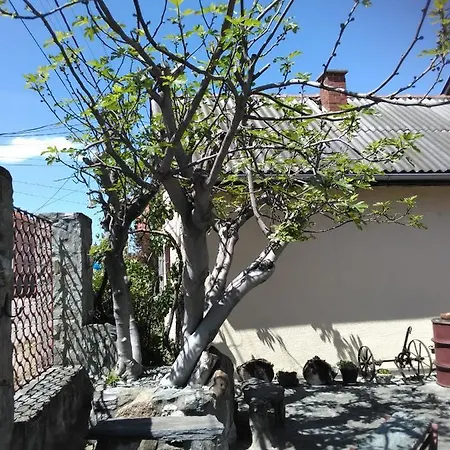 Pinkum Veliko Gradište