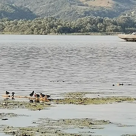 Apartament Pinkum Veliko Gradište