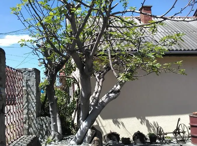 Pinkum Велико-Градиште