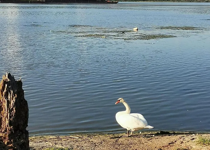 Pinkum Апартаменты *