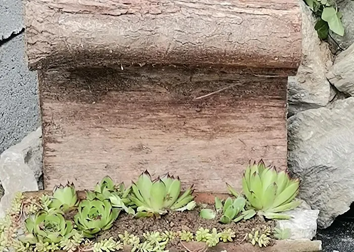 Апартаменты Pinkum *